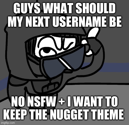 I beg your phardon | GUYS WHAT SHOULD MY NEXT USERNAME BE; NO NSFW + I WANT TO KEEP THE NUGGET THEME | image tagged in i beg your phardon | made w/ Imgflip meme maker