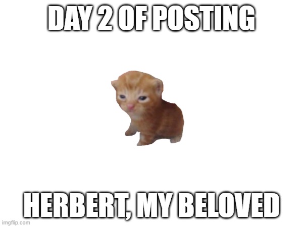 herbert | DAY 2 OF POSTING; HERBERT, MY BELOVED | image tagged in herbert | made w/ Imgflip meme maker