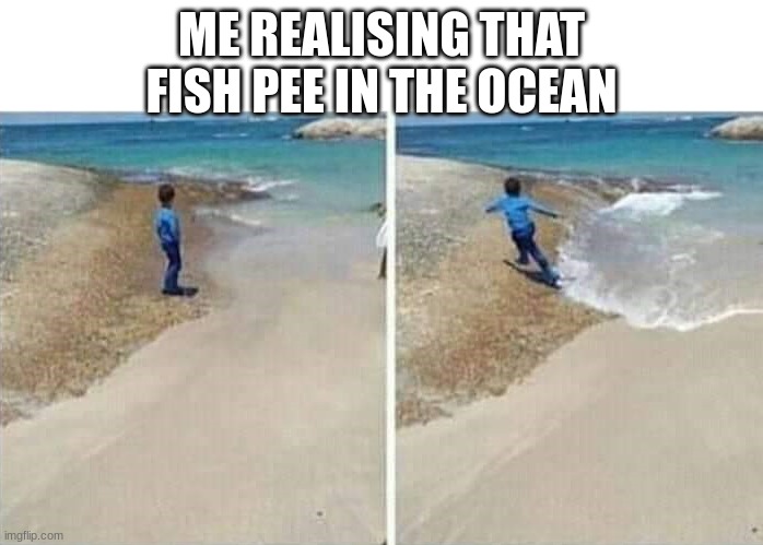 Hi | ME REALISING THAT FISH PEE IN THE OCEAN | image tagged in running away from water | made w/ Imgflip meme maker