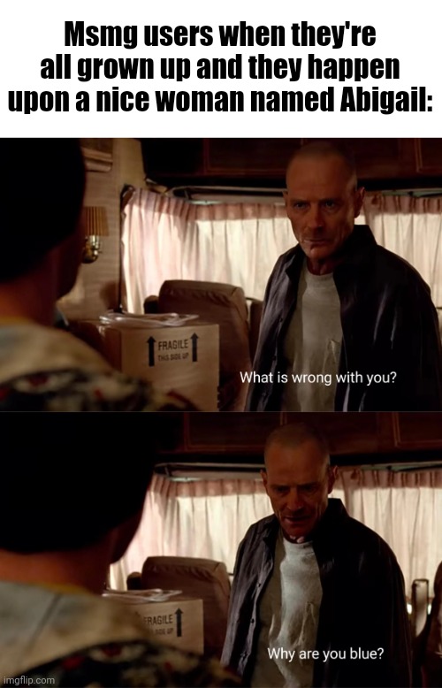 Why are You BlUe | Msmg users when they're all grown up and they happen upon a nice woman named Abigail: | image tagged in why are you blue | made w/ Imgflip meme maker