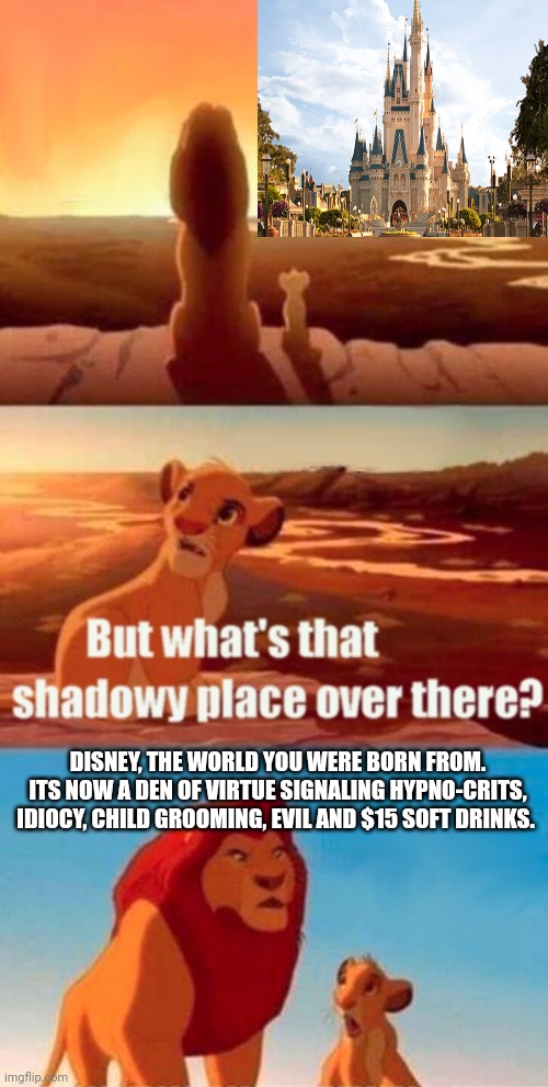 Simba Shadowy Place Meme | DISNEY, THE WORLD YOU WERE BORN FROM. ITS NOW A DEN OF VIRTUE SIGNALING HYPNO-CRITS, IDIOCY, CHILD GROOMING, EVIL AND $15 SOFT DRINKS. | image tagged in memes,simba shadowy place | made w/ Imgflip meme maker