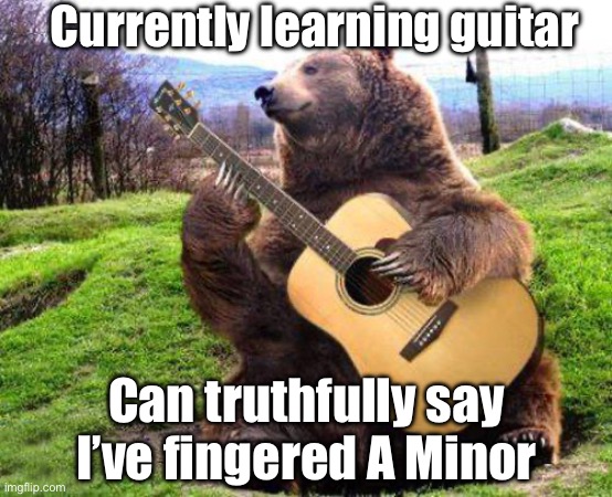 bear with guitar  | Currently learning guitar; Can truthfully say I’ve fingered A Minor | image tagged in bear with guitar | made w/ Imgflip meme maker
