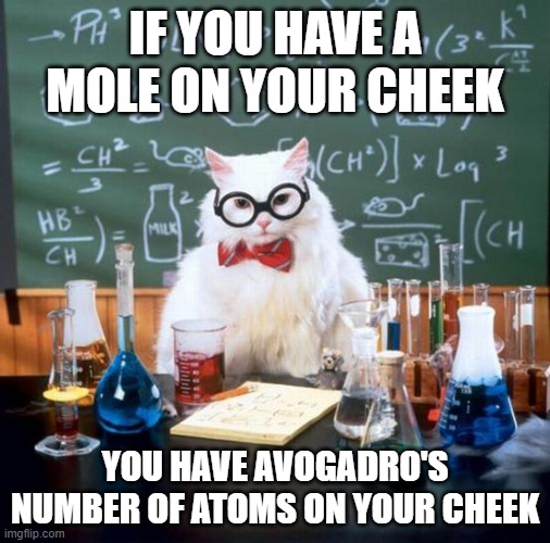 Applies to adults sometimes | IF YOU HAVE A MOLE ON YOUR CHEEK; YOU HAVE AVOGADRO'S NUMBER OF ATOMS ON YOUR CHEEK | image tagged in memes,chemistry cat | made w/ Imgflip meme maker