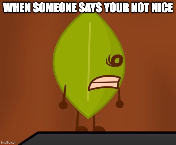 WHAT | WHEN SOMEONE SAYS YOUR NOT NICE | image tagged in bfdi wat face,bfdi,wat | made w/ Imgflip meme maker
