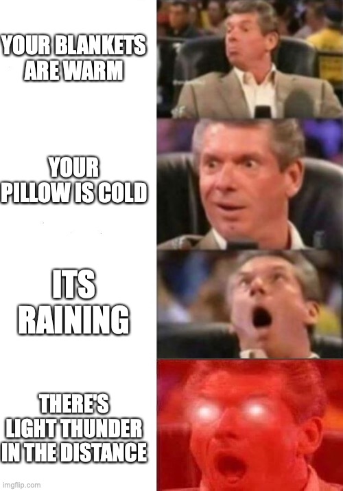 perfect sleep | YOUR BLANKETS ARE WARM; YOUR PILLOW IS COLD; ITS RAINING; THERE'S LIGHT THUNDER IN THE DISTANCE | image tagged in mr mcmahon reaction | made w/ Imgflip meme maker