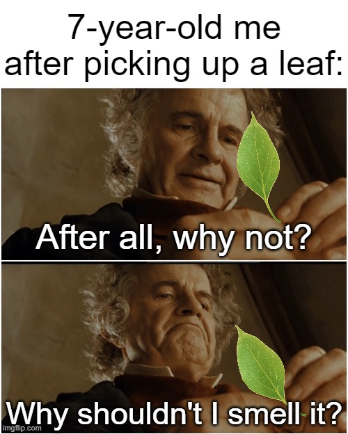 Leaf meme | 7-year-old me after picking up a leaf:; After all, why not? Why shouldn't I smell it? | image tagged in bilbo - why shouldn t i keep it,memes,funny,gifs,not really a gif,leaf | made w/ Imgflip meme maker