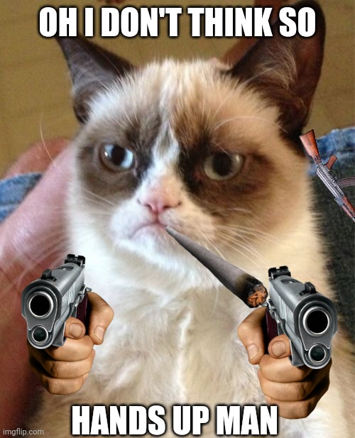 Grumpy Cat Meme | OH I DON'T THINK SO HANDS UP MAN | image tagged in memes,grumpy cat | made w/ Imgflip meme maker