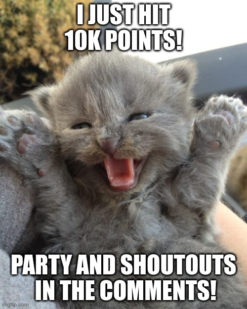 10k! | I JUST HIT 10K POINTS! PARTY AND SHOUTOUTS  IN THE COMMENTS! | image tagged in yay kitty | made w/ Imgflip meme maker