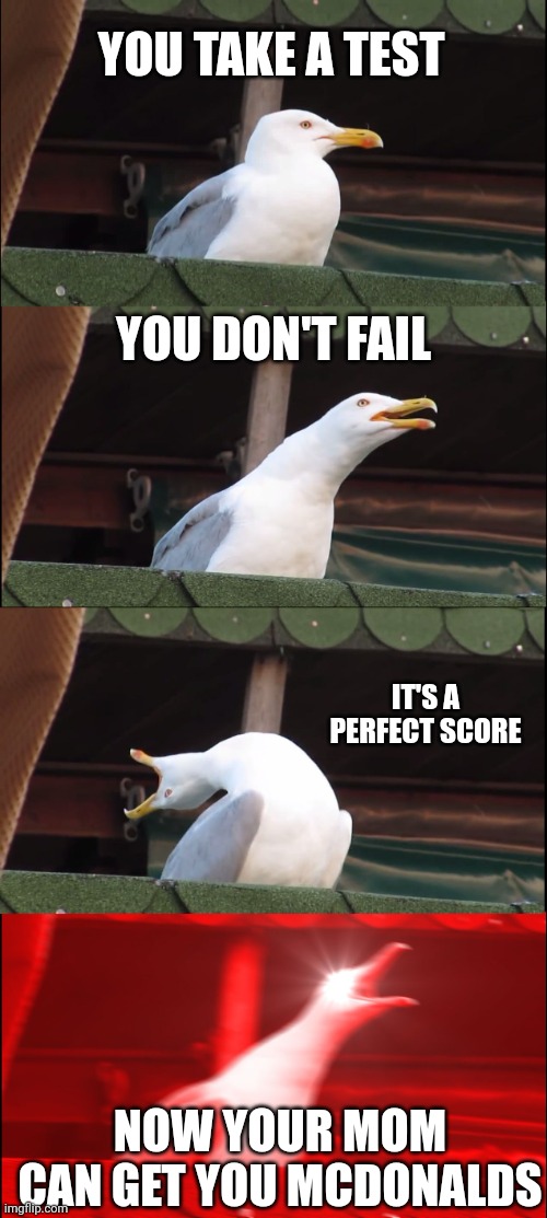 Inhaling Seagull | YOU TAKE A TEST; YOU DON'T FAIL; IT'S A PERFECT SCORE; NOW YOUR MOM CAN GET YOU MCDONALDS | image tagged in memes,inhaling seagull | made w/ Imgflip meme maker