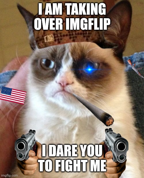 Grumpy Cat | I AM TAKING OVER IMGFLIP; I DARE YOU TO FIGHT ME | image tagged in memes,grumpy cat,gun,gangsta,cat | made w/ Imgflip meme maker