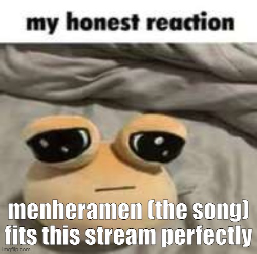 https://www.youtube.com/watch?v=yX8KwcDrTuk | menheramen (the song) fits this stream perfectly | image tagged in my honest reaction | made w/ Imgflip meme maker