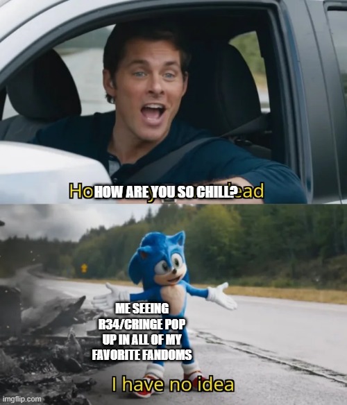 Sonic I have no idea | HOW ARE YOU SO CHILL? ME SEEING R34/CRINGE POP UP IN ALL OF MY FAVORITE FANDOMS | image tagged in sonic i have no idea | made w/ Imgflip meme maker