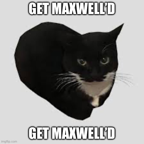 Get Maxwell’d | GET MAXWELL’D; GET MAXWELL’D | image tagged in cats,maxwell,funny,memes,relatable,if you read this tag you are cursed | made w/ Imgflip meme maker