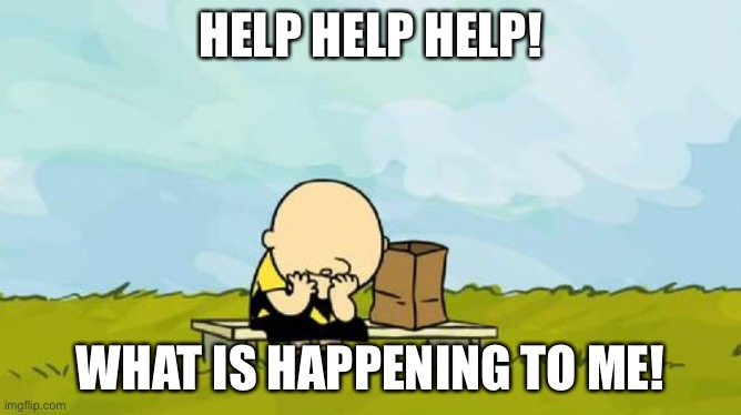 Is it my hate? | HELP HELP HELP! WHAT IS HAPPENING TO ME! | image tagged in depressed charlie brown | made w/ Imgflip meme maker