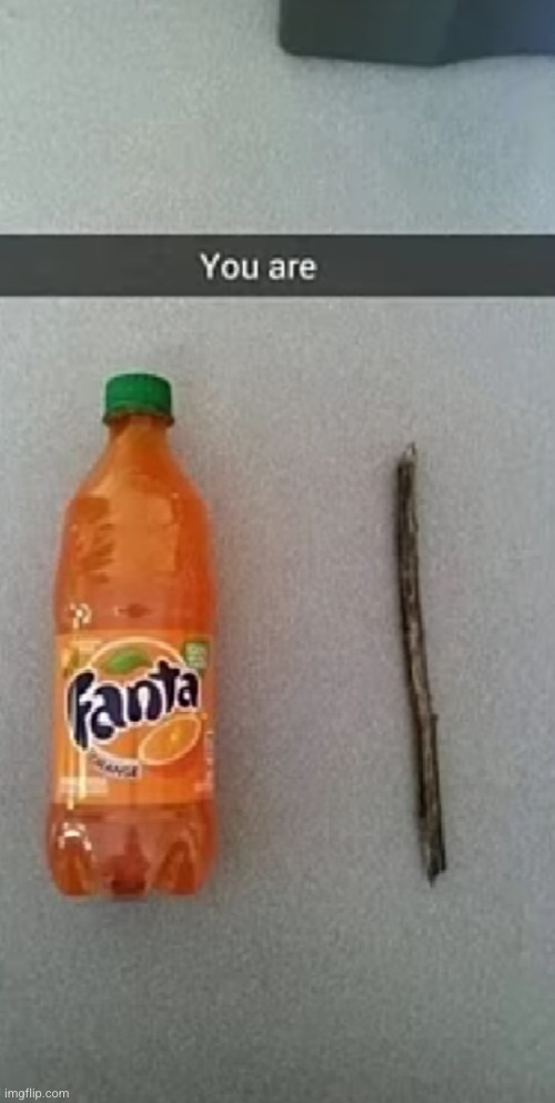 you are fanta stick! | image tagged in fanta,stick,fantastic,funny,inspirational,yay | made w/ Imgflip meme maker