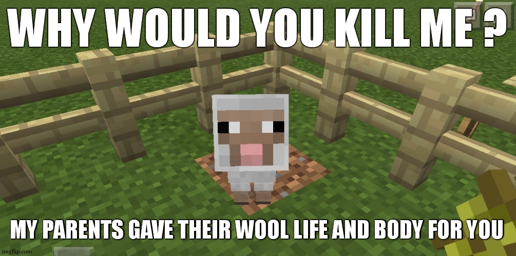 their whole life and body :'( | WHY WOULD YOU KILL ME ? MY PARENTS GAVE THEIR WOOL LIFE AND BODY FOR YOU | image tagged in minecraft sheep,minecraft,bed,wool | made w/ Imgflip meme maker