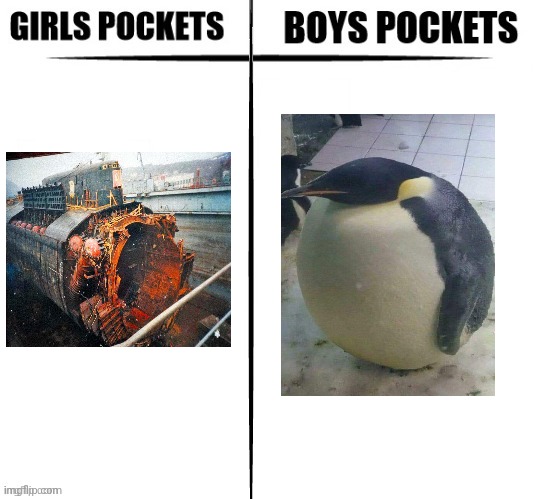 boy's pockets are like fat penguin | image tagged in girls vs boys pockets | made w/ Imgflip meme maker