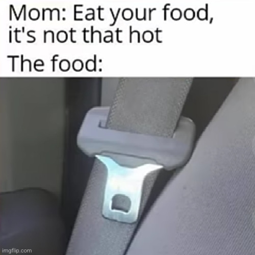 another thing in the car that burns hotter than roasts in 3rd grade | image tagged in food,mom,burning,hot,summer,so true | made w/ Imgflip meme maker