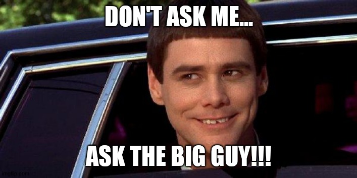 dumb and dumber | DON'T ASK ME... ASK THE BIG GUY!!! | image tagged in dumb and dumber | made w/ Imgflip meme maker