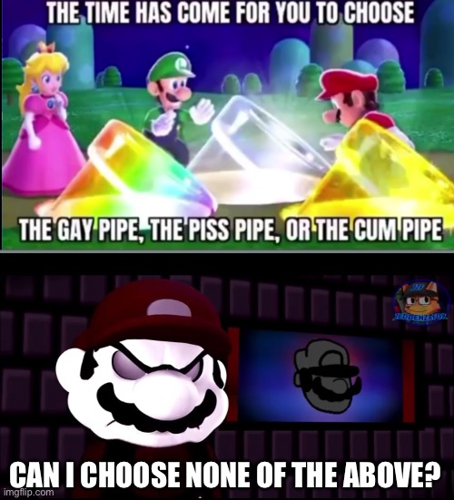 Uhhh | CAN I CHOOSE NONE OF THE ABOVE? | image tagged in the time has come for you to choose,mx,super mario | made w/ Imgflip meme maker