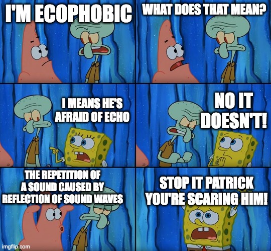 Ecophobia | I'M ECOPHOBIC; WHAT DOES THAT MEAN? NO IT DOESN'T! I MEANS HE'S AFRAID OF ECHO; THE REPETITION OF A SOUND CAUSED BY REFLECTION OF SOUND WAVES; STOP IT PATRICK YOU'RE SCARING HIM! | image tagged in stop it patrick you're scaring him,echo,phobia | made w/ Imgflip meme maker