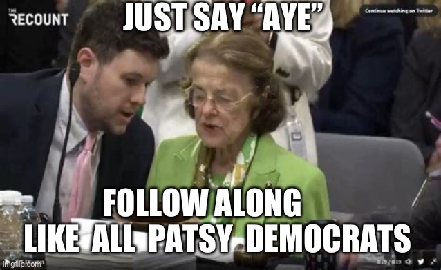 Democrat Party slogan: just say “aye” Trust us. | JUST SAY “AYE”; FOLLOW ALONG       LIKE  ALL  PATSY  DEMOCRATS | image tagged in democrats,dianne feinstein,dementia,incompetence,seniors | made w/ Imgflip meme maker