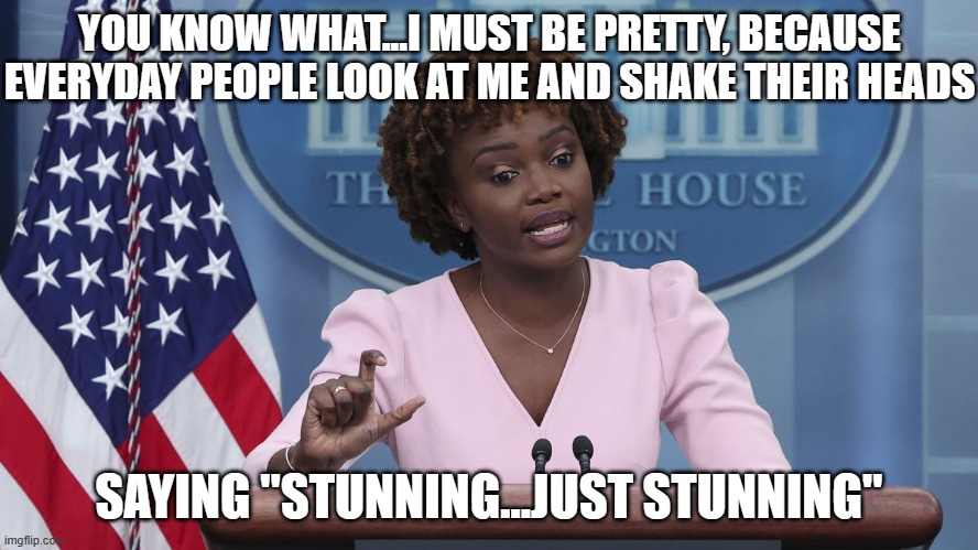 Karine Jean Pierre | YOU KNOW WHAT...I MUST BE PRETTY, BECAUSE EVERYDAY PEOPLE LOOK AT ME AND SHAKE THEIR HEADS SAYING "STUNNING...JUST STUNNING" | image tagged in karine jean pierre | made w/ Imgflip meme maker