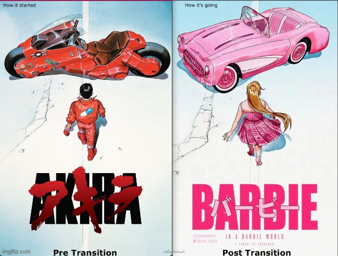 The and Now Akira/Barbie | image tagged in transgender,barbie,then and now,trans,comparison | made w/ Imgflip meme maker