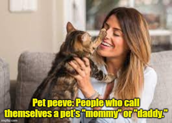 Cat Lady | Pet peeve: People who call themselves a pet's "mommy" or "daddy." | image tagged in crazy cat lady | made w/ Imgflip meme maker