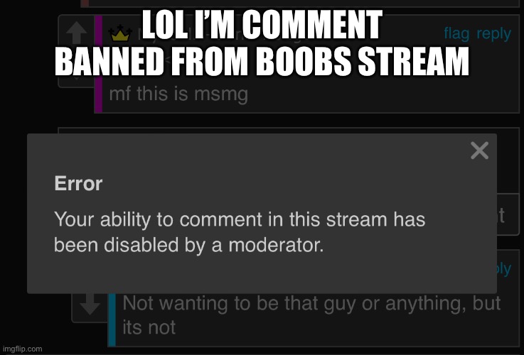 LOL I’M COMMENT BANNED FROM BOOBS STREAM | made w/ Imgflip meme maker