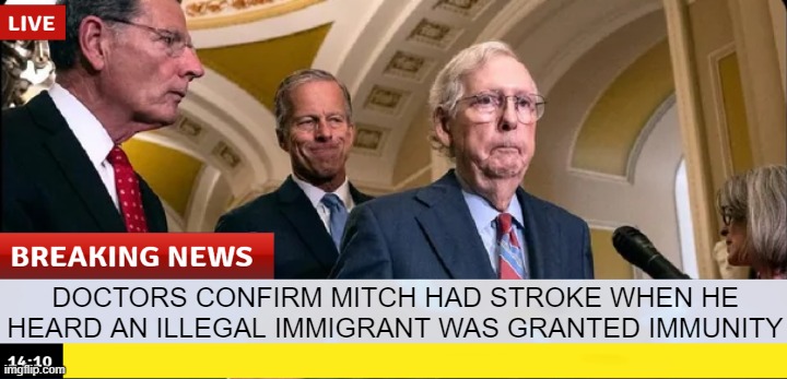 Poor Mitch | DOCTORS CONFIRM MITCH HAD STROKE WHEN HE HEARD AN ILLEGAL IMMIGRANT WAS GRANTED IMMUNITY | image tagged in politics | made w/ Imgflip meme maker