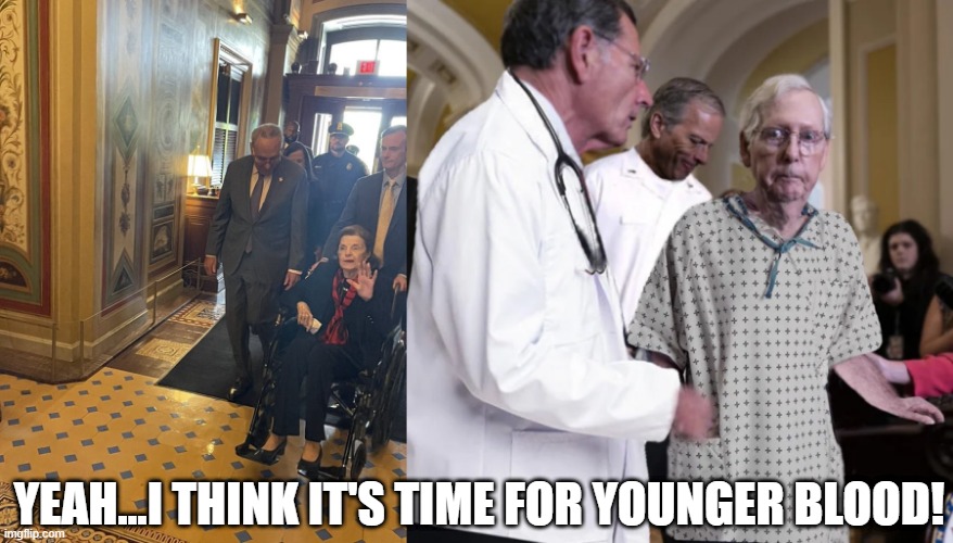 They're Too Old | YEAH...I THINK IT'S TIME FOR YOUNGER BLOOD! | image tagged in diane feinstein | made w/ Imgflip meme maker