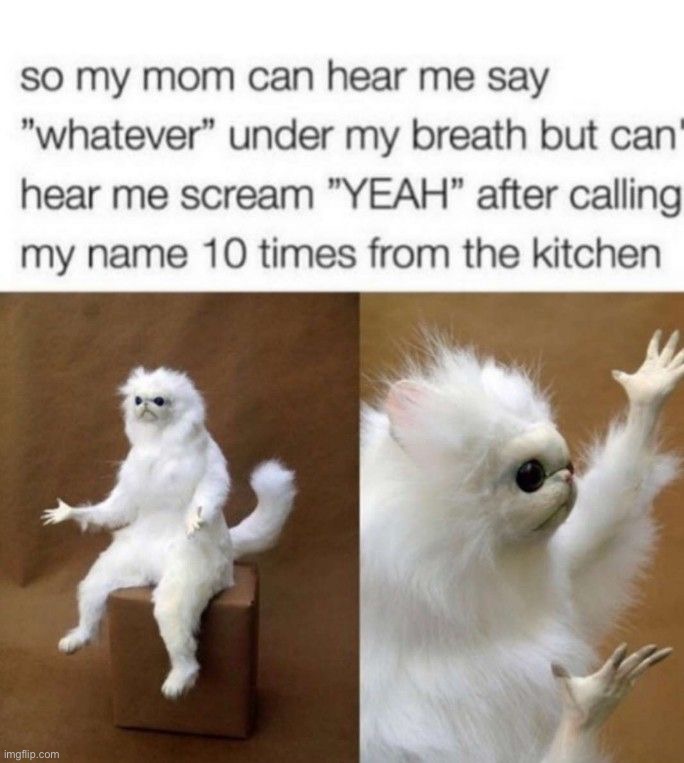 image tagged in memes,funny | made w/ Imgflip meme maker
