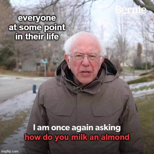 the art of almond milk was beyond your understanding | everyone at some point in their life; how do you milk an almond | image tagged in memes,bernie i am once again asking for your support | made w/ Imgflip meme maker