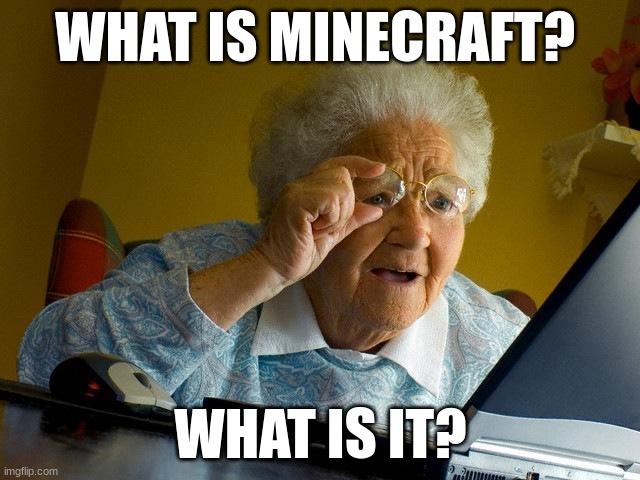 i don't know | WHAT IS MINECRAFT? WHAT IS IT? | image tagged in memes,grandma finds the internet | made w/ Imgflip meme maker