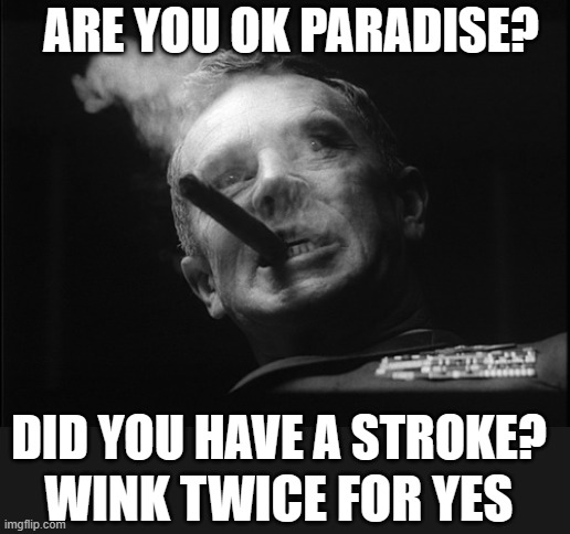 General Ripper (Dr. Strangelove) | DID YOU HAVE A STROKE? ARE YOU OK PARADISE? WINK TWICE FOR YES | image tagged in general ripper dr strangelove | made w/ Imgflip meme maker