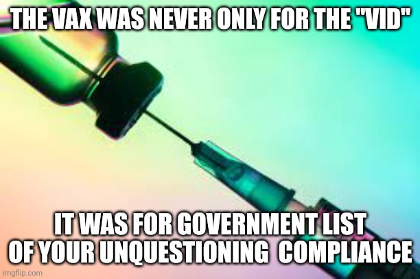 The new world order | THE VAX WAS NEVER ONLY FOR THE "VID"; IT WAS FOR GOVERNMENT LIST OF YOUR UNQUESTIONING  COMPLIANCE | image tagged in needles | made w/ Imgflip meme maker