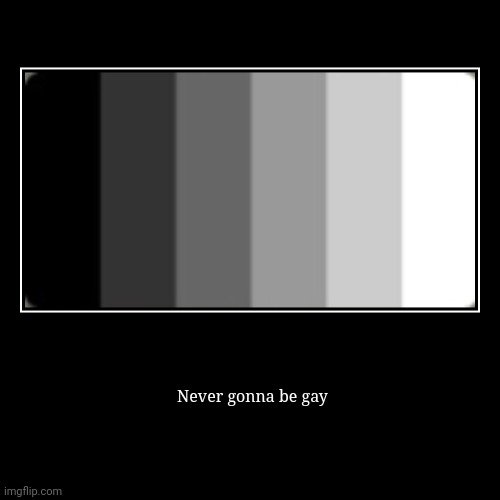 Never gonna be gay | | image tagged in funny,demotivationals | made w/ Imgflip demotivational maker