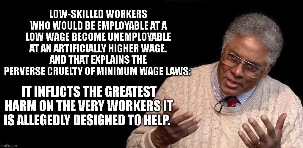 Thomas Sowell saying exactly what happened to me when I was a young adult. | LOW-SKILLED WORKERS WHO WOULD BE EMPLOYABLE AT A LOW WAGE BECOME UNEMPLOYABLE AT AN ARTIFICIALLY HIGHER WAGE. AND THAT EXPLAINS THE PERVERSE CRUELTY OF MINIMUM WAGE LAWS:; IT INFLICTS THE GREATEST HARM ON THE VERY WORKERS IT IS ALLEGEDLY DESIGNED TO HELP. | image tagged in thomas sowell | made w/ Imgflip meme maker