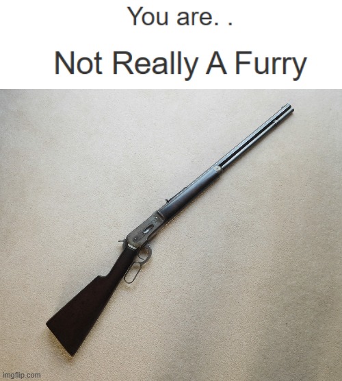 If I'm not a furry, I'm a Winchester repeater | made w/ Imgflip meme maker