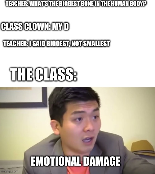 Damn, bro got violated | TEACHER: WHAT’S THE BIGGEST BONE IN THE HUMAN BODY? CLASS CLOWN: MY D; TEACHER: I SAID BIGGEST, NOT SMALLEST; THE CLASS:; EMOTIONAL DAMAGE | image tagged in emotional damage | made w/ Imgflip meme maker