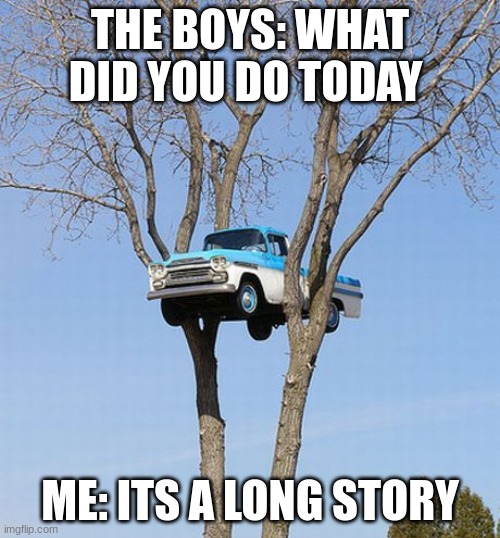 Long story | THE BOYS: WHAT DID YOU DO TODAY; ME: ITS A LONG STORY | image tagged in car | made w/ Imgflip meme maker