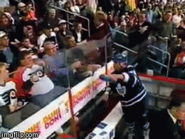 Hockey Player Fights Fan