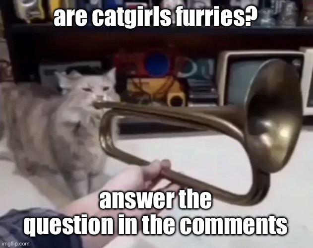 are catgirls furries 