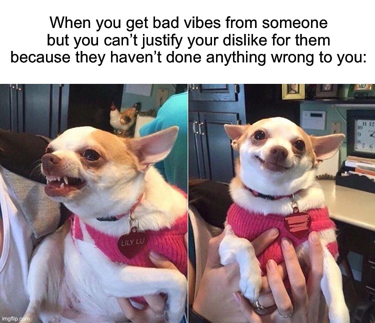 This happens to me a lot | When you get bad vibes from someone but you can’t justify your dislike for them because they haven’t done anything wrong to you: | image tagged in angry dog meme,memes,funny,true story,relatable memes,dogs | made w/ Imgflip meme maker