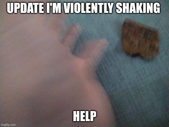 Help | UPDATE I'M VIOLENTLY SHAKING; HELP | image tagged in help me | made w/ Imgflip meme maker