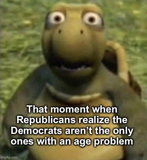 Mitch McConnell | That moment when 
Republicans realize the 
Democrats aren’t the only 
ones with an age problem | image tagged in shocked turtle | made w/ Imgflip meme maker