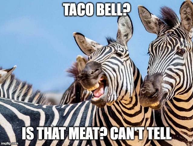 Zinger Zebra | TACO BELL? IS THAT MEAT? CAN'T TELL | image tagged in zinger zebra | made w/ Imgflip meme maker