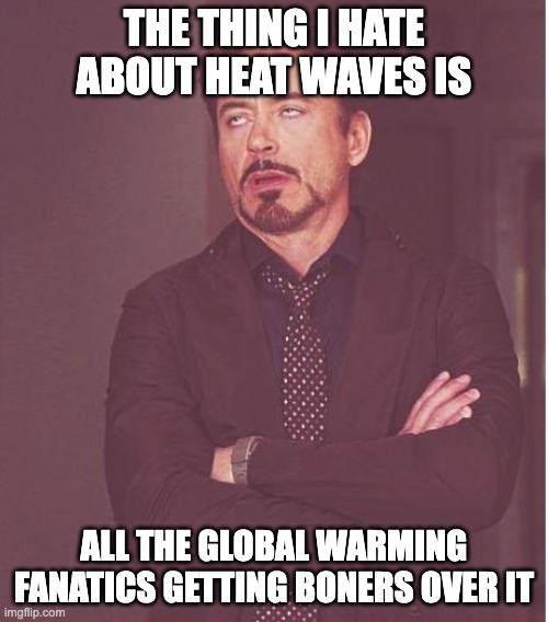 Heat Waves | THE THING I HATE ABOUT HEAT WAVES IS; ALL THE GLOBAL WARMING FANATICS GETTING BONERS OVER IT | image tagged in memes,face you make robert downey jr,global warming,climate change,politics | made w/ Imgflip meme maker