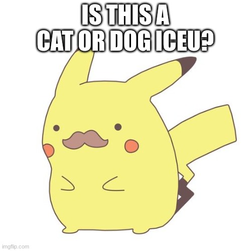 spoder | IS THIS A CAT OR DOG ICEU? | image tagged in spoder | made w/ Imgflip meme maker